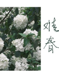 难为女儿红电视剧